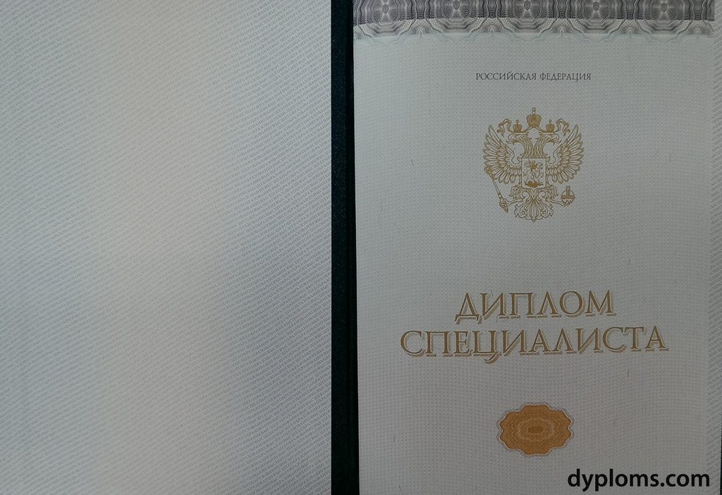 Купить диплом СПбГТИ на оригинальном бланке -539804654